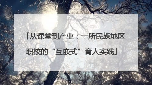 从课堂到产业：一所民族地区职校的“互嵌式”育人实践