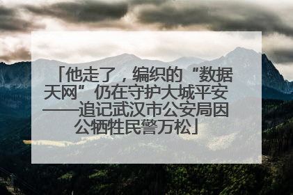 他走了，编织的“数据天网”仍在守护大城平安——追记武汉市公安局因公牺牲民警万松