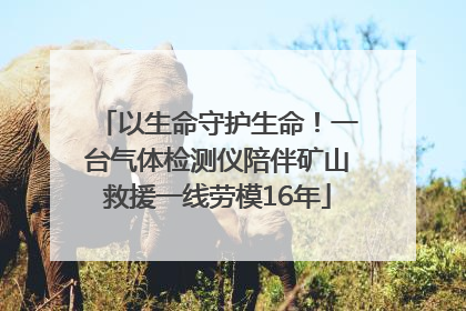 以生命守护生命！一台气体检测仪陪伴矿山救援一线劳模16年