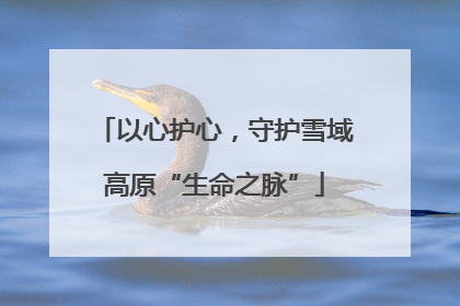 以心护心，守护雪域高原“生命之脉”