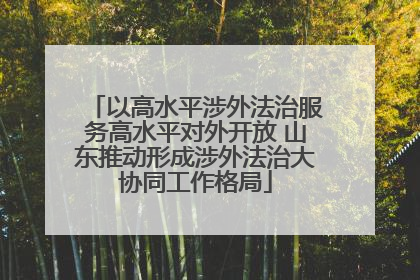 以高水平涉外法治服务高水平对外开放 山东推动形成涉外法治大协同工作格局