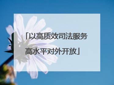 以高质效司法服务高水平对外开放