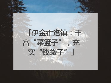 伊金霍洛镇：丰富“菜篮子”，充实“钱袋子”