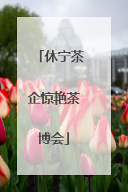 休宁茶企惊艳茶博会