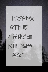 会泽小伙6年锤炼：石漠化荒滩长出“绿色黄金”