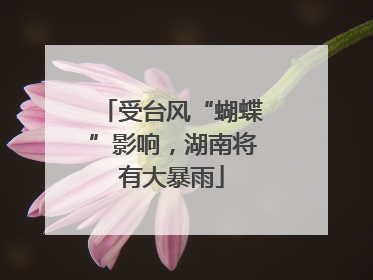 受台风“蝴蝶”影响，湖南将有大暴雨