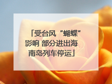 受台风“蝴蝶”影响 部分进出海南岛列车停运