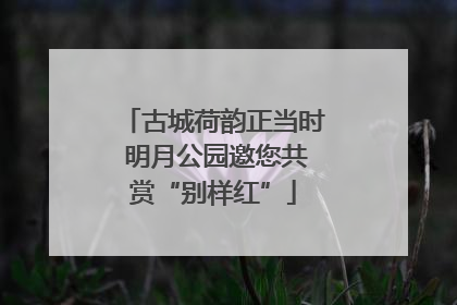 古城荷韵正当时 明月公园邀您共赏“别样红”