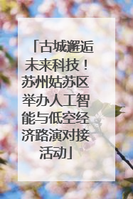古城邂逅未来科技！苏州姑苏区举办人工智能与低空经济路演对接活动