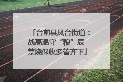台前县凤台街道：战高温守“粮”辰 禁烧保收多管齐下