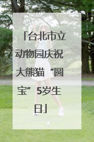 台北市立动物园庆祝大熊猫“圆宝”5岁生日