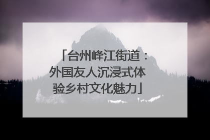 台州峰江街道：外国友人沉浸式体验乡村文化魅力
