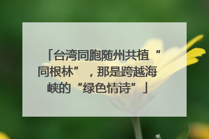 台湾同胞随州共植“同根林”，那是跨越海峡的“绿色情诗”