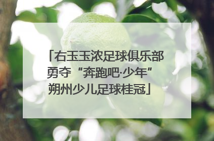 右玉玉浓足球俱乐部勇夺“奔跑吧·少年”朔州少儿足球桂冠