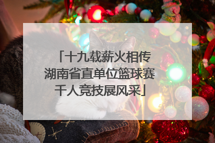 十九载薪火相传 湖南省直单位篮球赛千人竞技展风采
