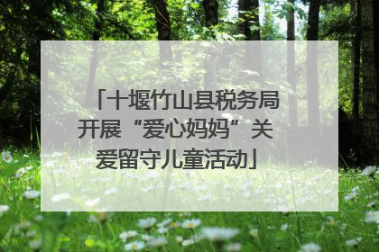 十堰竹山县税务局开展“爱心妈妈”关爱留守儿童活动
