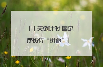 十天倒计时 国足疗伤待“拼命”