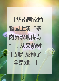 华南国家植物园上演“多肉界玫瑰传奇”，从呆萌树干到炸裂种子全是戏！
