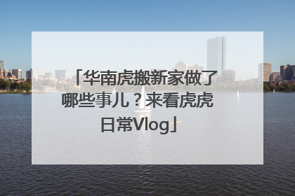 华南虎搬新家做了哪些事儿？来看虎虎日常Vlog