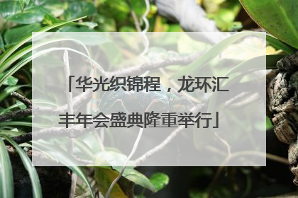 华光织锦程，龙环汇丰年会盛典隆重举行