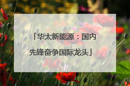 华太新能源：国内先锋奋争国际龙头