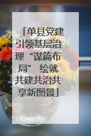 单县党建引领基层治理“谋篇布局” 绘就共建共治共享新图景