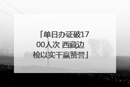 单日办证破1700人次 西藏边检以实干赢赞誉