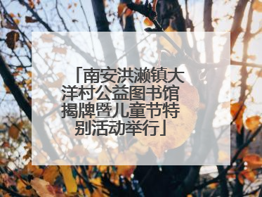 南安洪濑镇大洋村公益图书馆揭牌暨儿童节特别活动举行