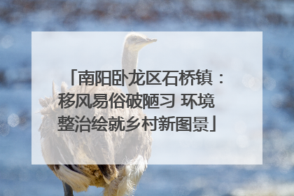 南阳卧龙区石桥镇：移风易俗破陋习 环境整治绘就乡村新图景