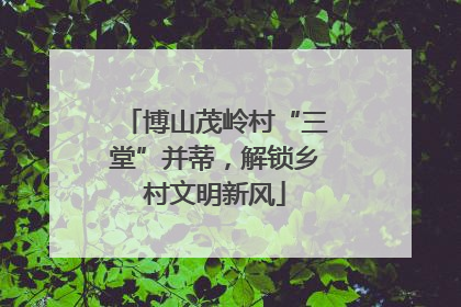 博山茂岭村“三堂”并蒂，解锁乡村文明新风