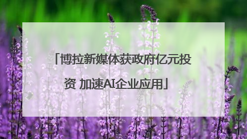 博拉新媒体获政府亿元投资 加速AI企业应用