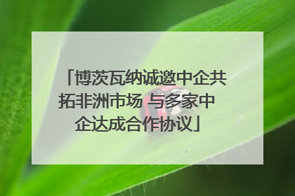 博茨瓦纳诚邀中企共拓非洲市场 与多家中企达成合作协议