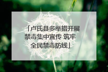 卢氏县多举措开展禁毒集中宣传 筑牢全民禁毒防线