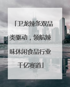 卫龙辣条双品类驱动，领航辣味休闲食品行业千亿赛道
