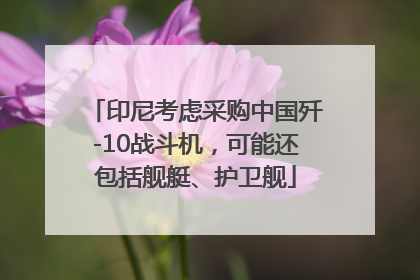 印尼考虑采购中国歼-10战斗机，可能还包括舰艇、护卫舰