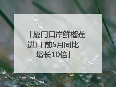 厦门口岸鲜榴莲进口 前5月同比增长10倍