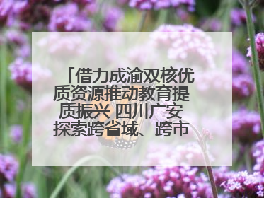 借力成渝双核优质资源推动教育提质振兴 四川广安探索跨省域、跨市域教育协同发展新路径