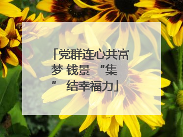 党群连心共富梦 钱景 “集” 结幸福力