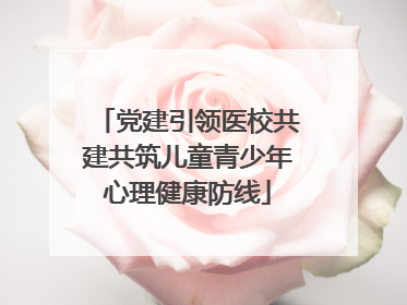 党建引领医校共建共筑儿童青少年心理健康防线