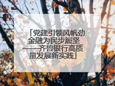 党建引领风帆劲 金融为民步履坚——齐鲁银行高质量发展新实践