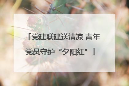 党建联建送清凉 青年党员守护“夕阳红”