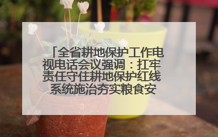 全省耕地保护工作电视电话会议强调：扛牢责任守住耕地保护红线 系统施治夯实粮食安全根基 王宁作出批示 王予波出席并讲话