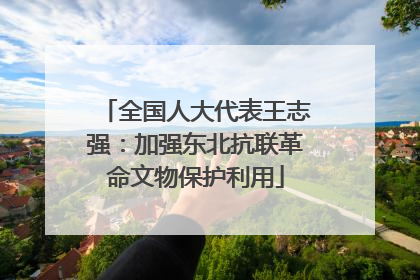 全国人大代表王志强：加强东北抗联革命文物保护利用