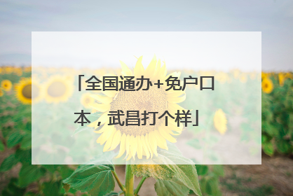 全国通办+免户口本，武昌打个样