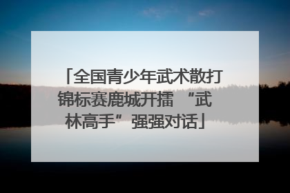 全国青少年武术散打锦标赛鹿城开擂 “武林高手”强强对话