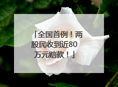 全国首例！两股民收到近80万元赔款！