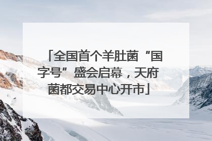 全国首个羊肚菌“国字号”盛会启幕，天府菌都交易中心开市
