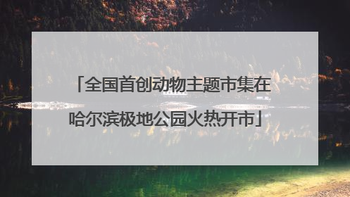 全国首创动物主题市集在哈尔滨极地公园火热开市