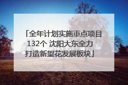 全年计划实施重点项目132个 沈阳大东全力打造新望花发展板块