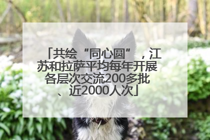 共绘“同心圆”，江苏和拉萨平均每年开展各层次交流200多批、近2000人次
